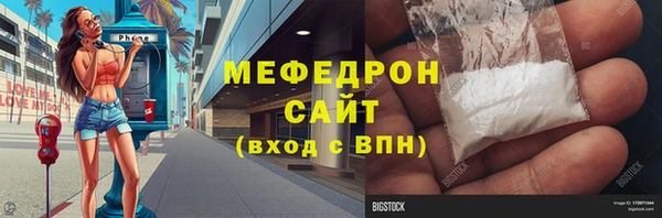 хмурый Аркадак