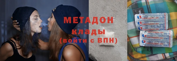 хмурый Аркадак