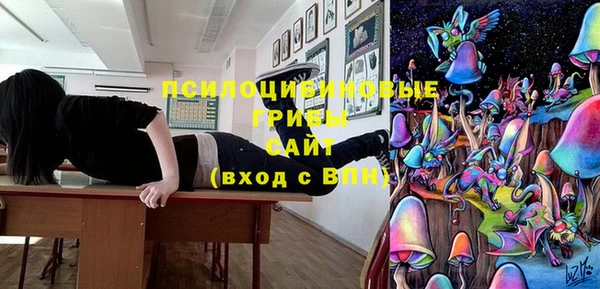 хмурый Аркадак