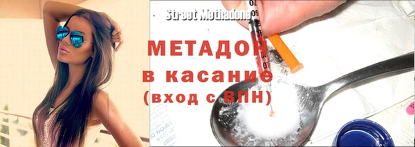хмурый Аркадак