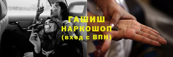 хмурый Аркадак