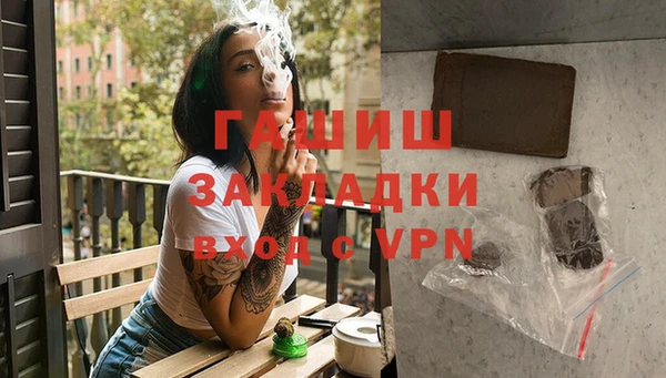 хмурый Аркадак