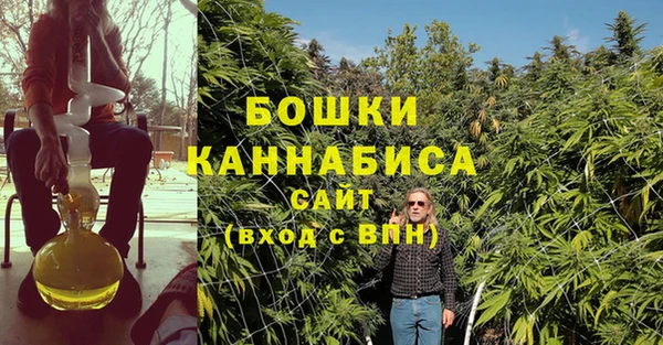 хмурый Аркадак