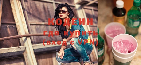 хмурый Аркадак