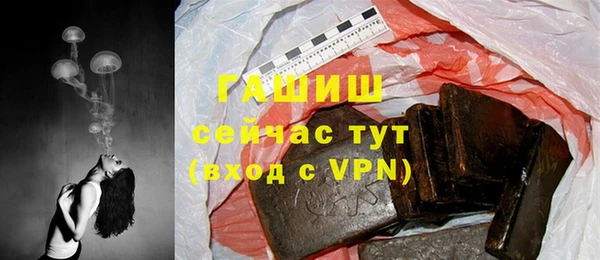 хмурый Аркадак