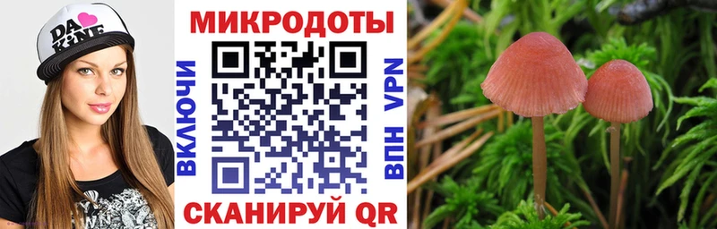 как найти закладки  Олёкминск  Галлюциногенные грибы Magic Shrooms 